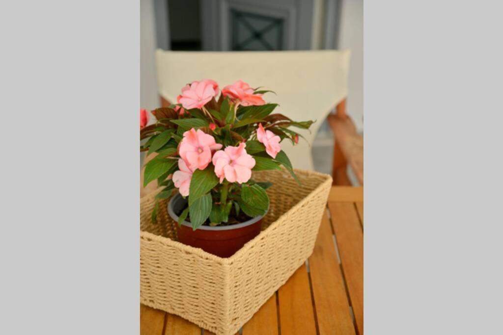Alisahni Apartment Adamantas  Екстериор снимка